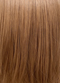 Brown Straight Lace Front Synthetic Wig LF1313