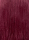 Burgundy Red Straight Lace Front Kanekalon Synthetic Hair Wig LF3335