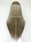 Greenish Grey Straight Lace Front Kanekalon Synthetic Hair Wig LF3346