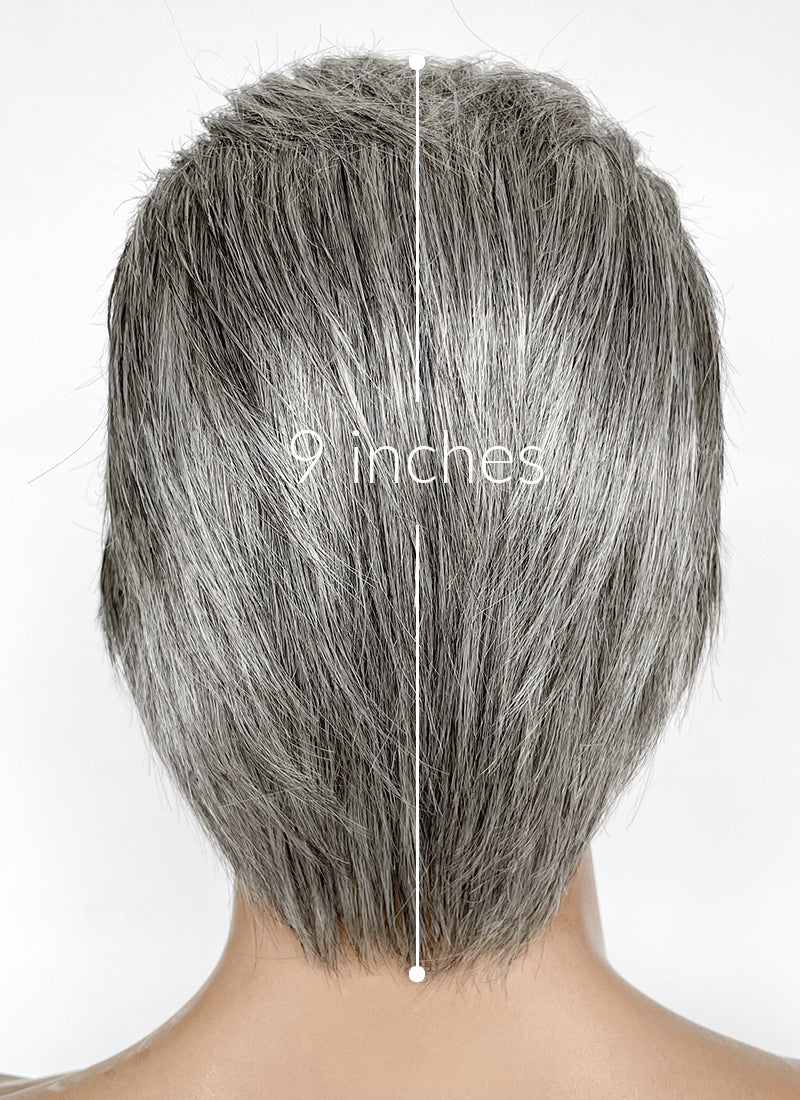 Wish King Magnifico Straight Mixed Grey Lace Front Synthetic Men's Wig LF6090