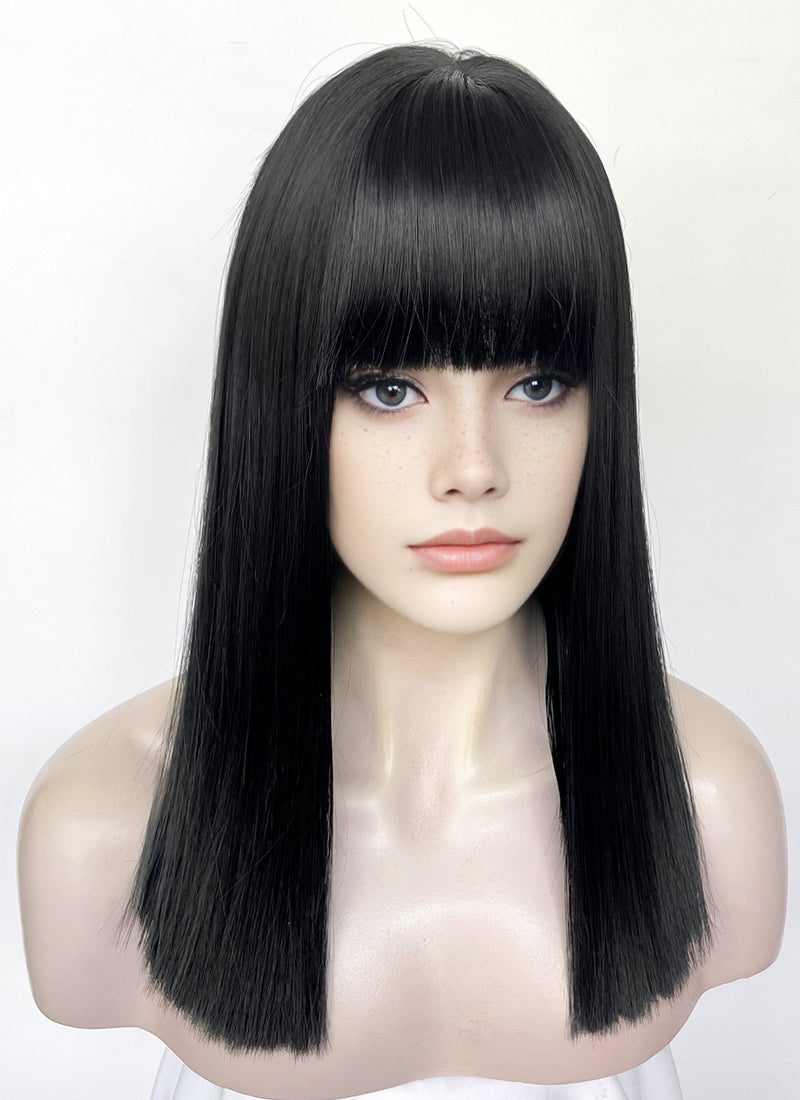 Black Straight Synthetic Hair Wig NS573