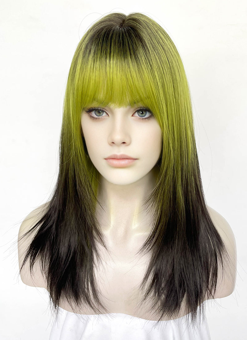 Green Black Ombre Straight Synthetic Hair Wig NS596