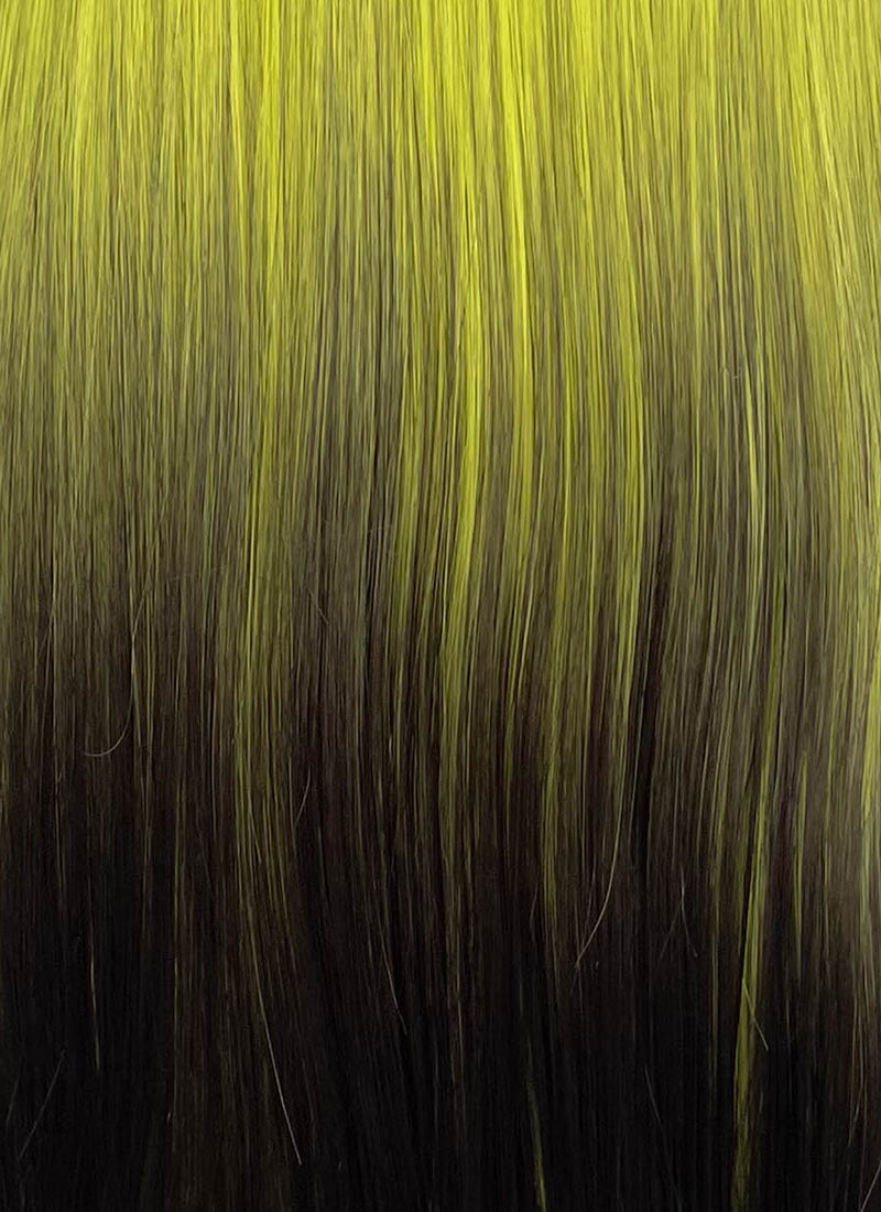 Green Black Ombre Straight Synthetic Hair Wig NS596